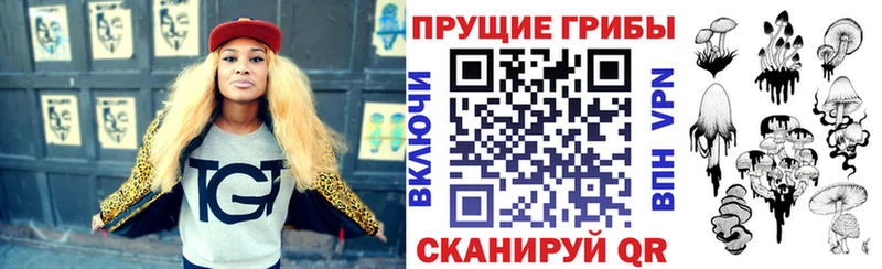 Галлюциногенные грибы Psilocybine cubensis  Певек 